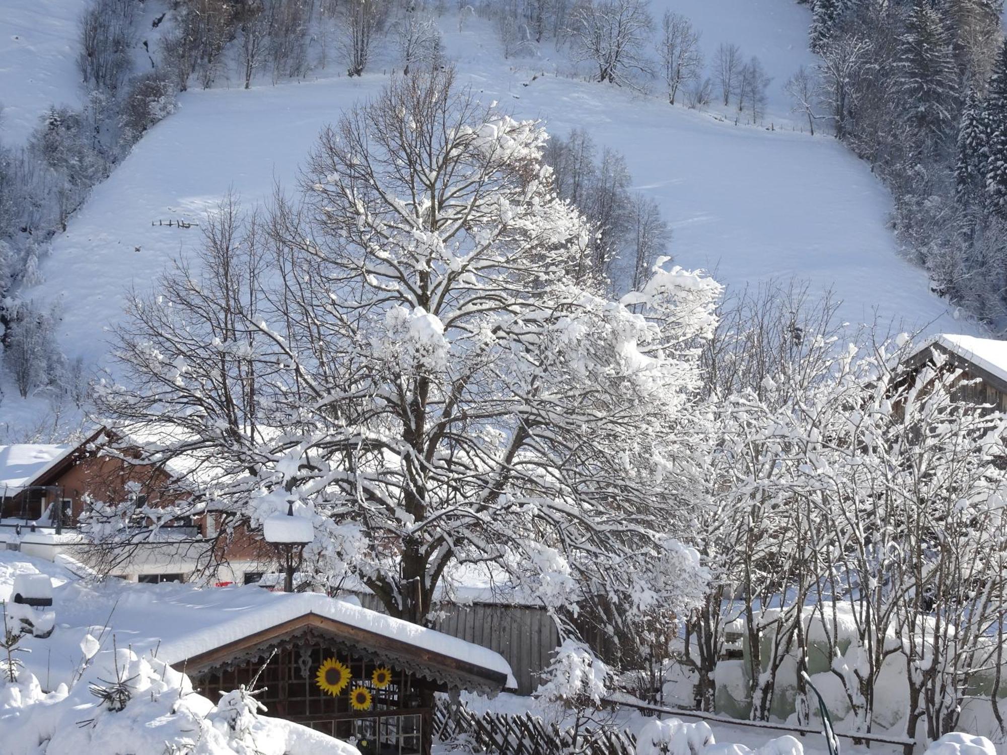 Gastehaus Luggau *